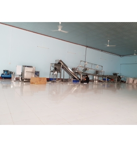 CHUYỀN MÁY ĐÓNG GÓI HẠT ĐIỀU